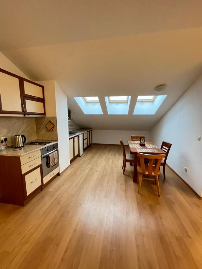 Two Bedroom Flat In Magernitsa Bansko Zewnętrze zdjęcie
